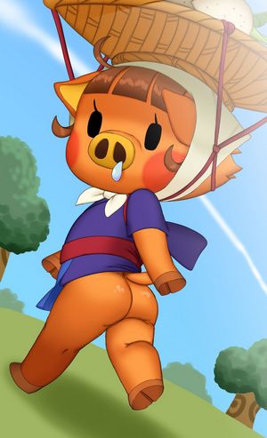 Daisy Mae and Katie Animal Crossing Hoshime